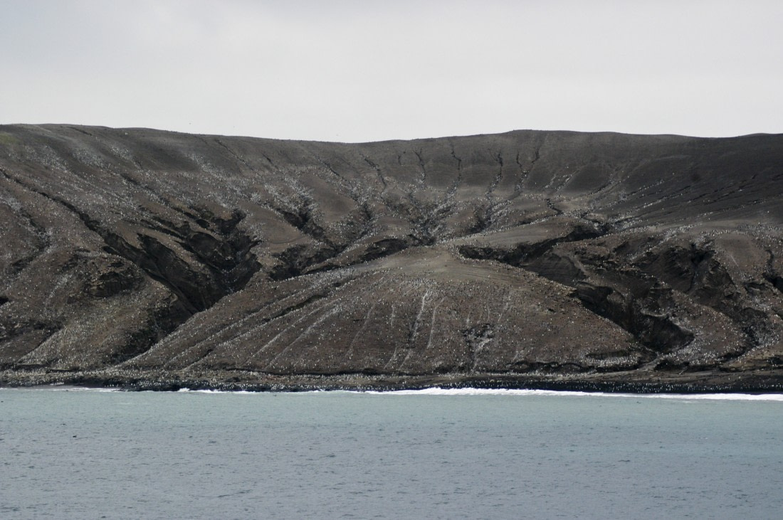 South Sandwich Islands, Saunders Island