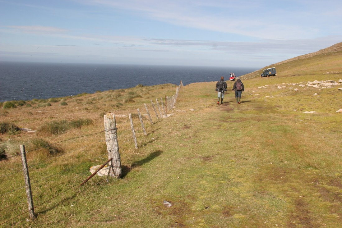 Falklands