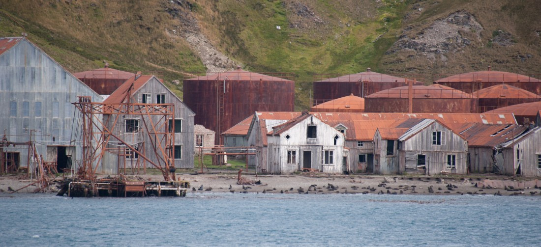 Grytviken