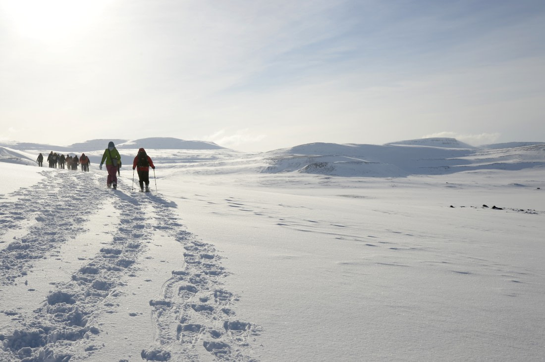 gallery_iceland_westfjords (c) lothar kutze-oceanwide expeditions (45).JPG