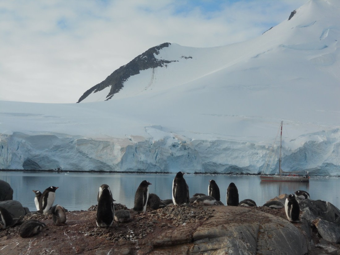 Antarctic Peninsula