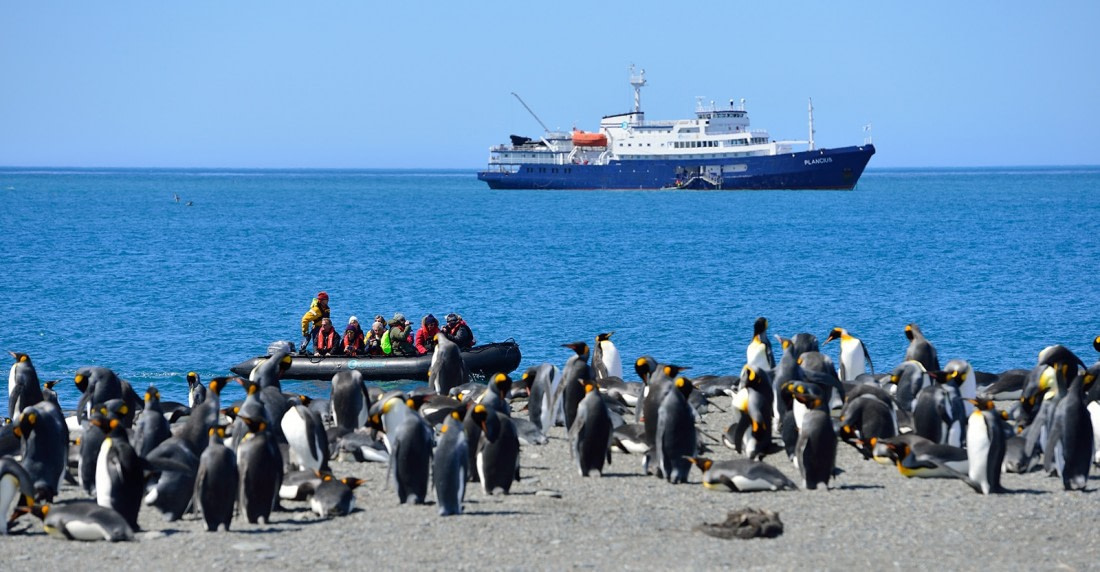 Plancius at St Andrews Bay, King Penguin colony, South Georgia