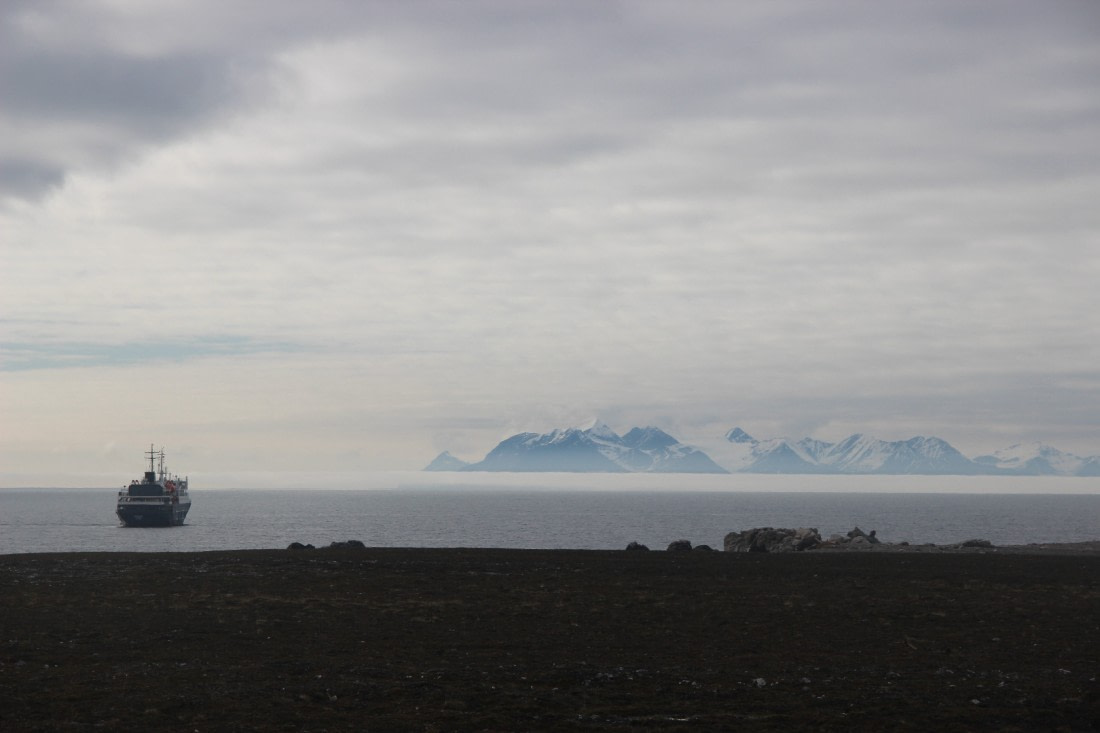 Orteluis in the middle of the beautifull waters of Svalbard