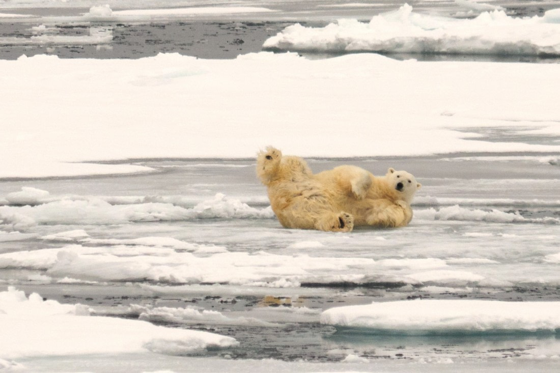 Andreas Huppert - Svalbard 08/16 - 5