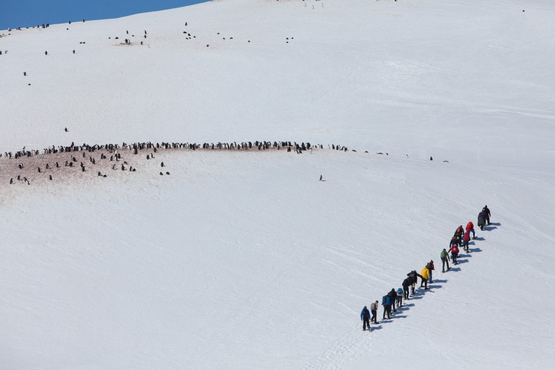 Snowshoeing at Danco Island, Antarctica © Troels jacobsen-Oceanwide Expeditions (1).JPG