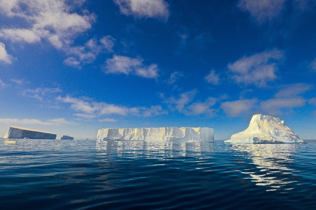 icebergs from zodiac, M/V Ortelius