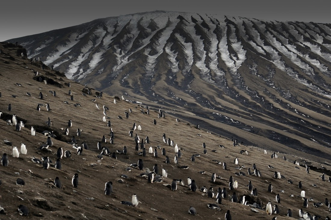 South Sandwich Islands