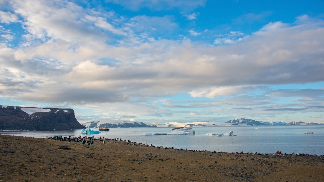 M/V Ortelius at devil's island, antarctica, dec 2016