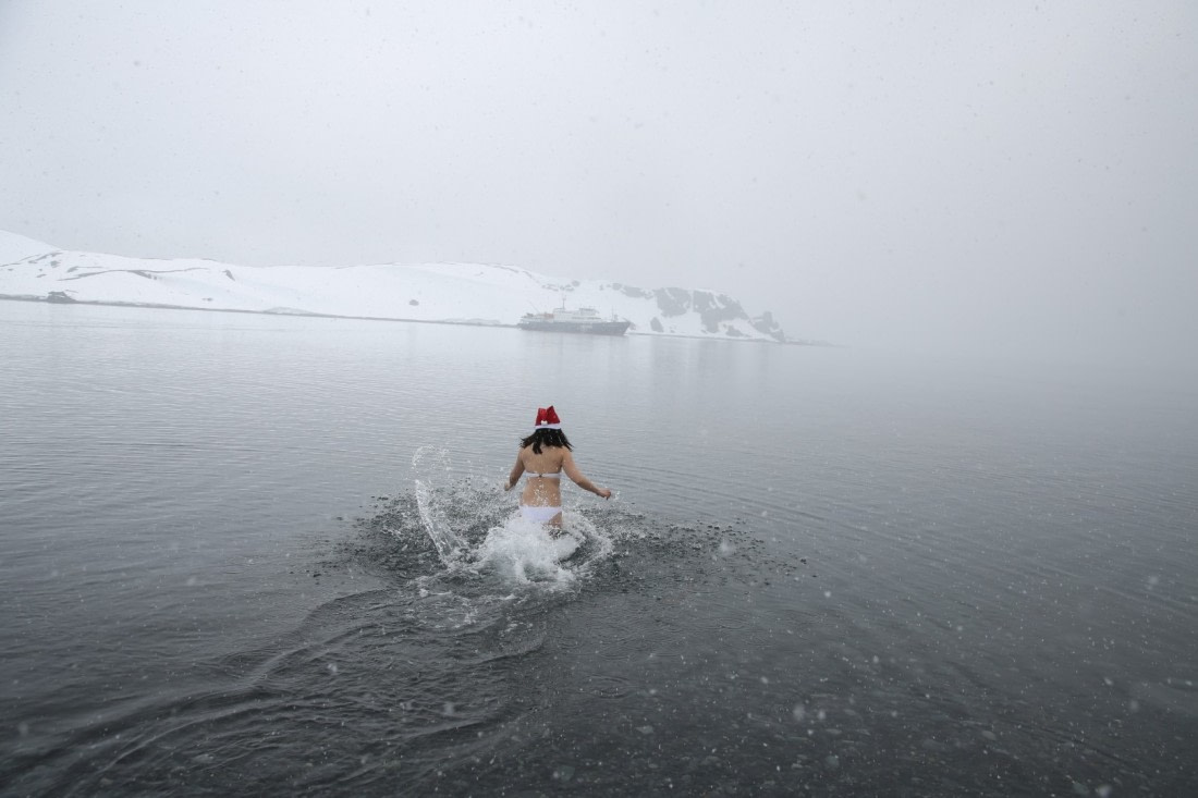 Polar Plunge