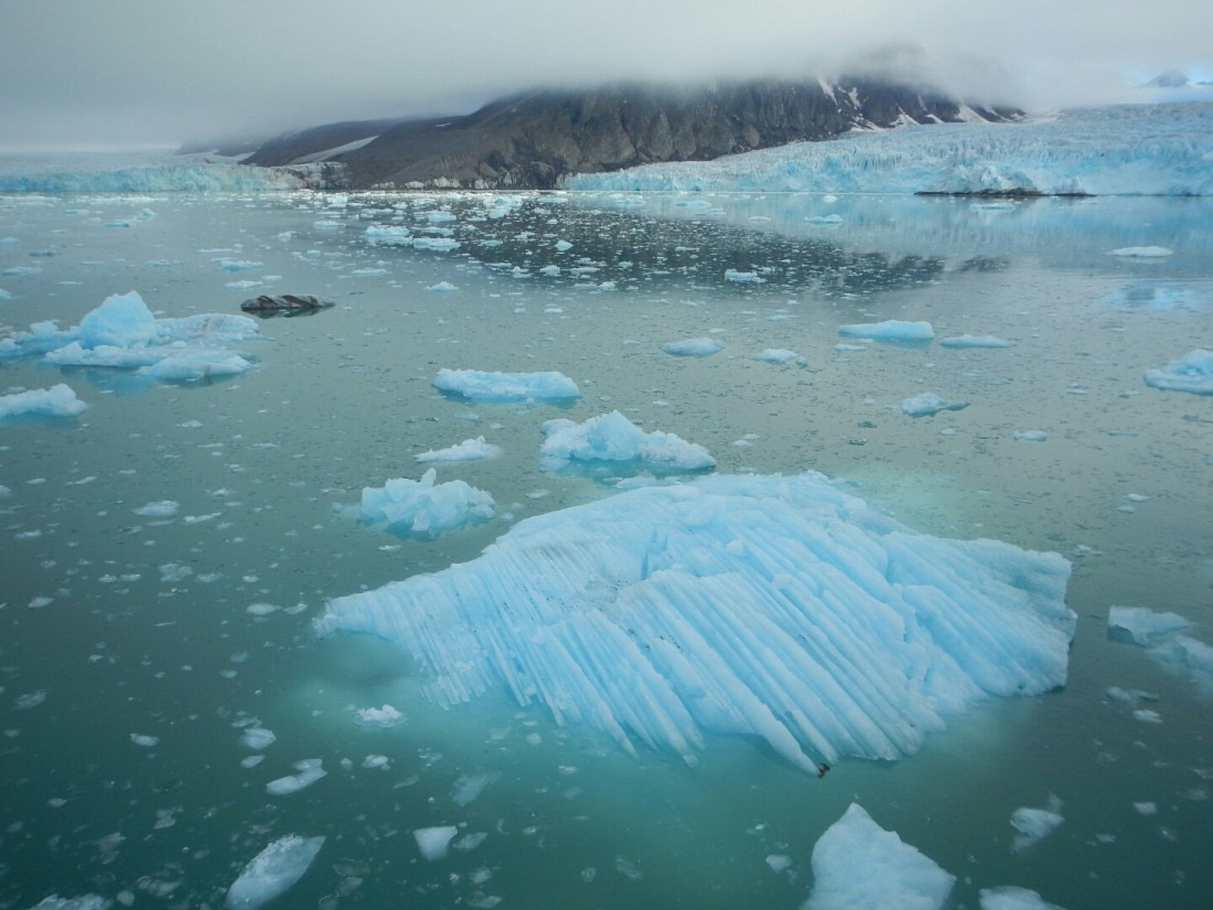 Aboard the Ortelius svalbard