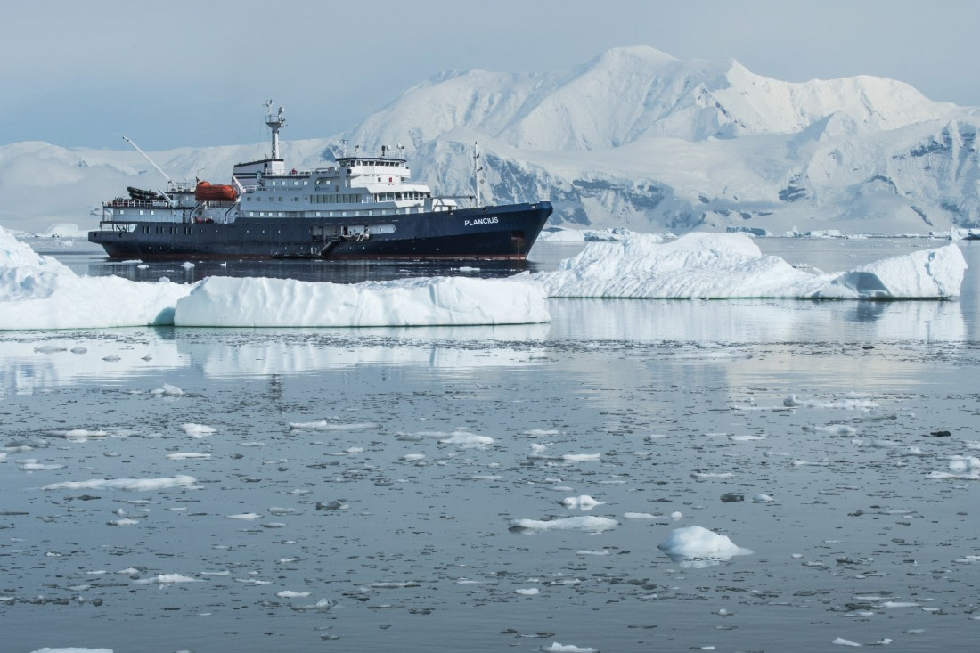 Neko Harbour mit Eselpinguinen