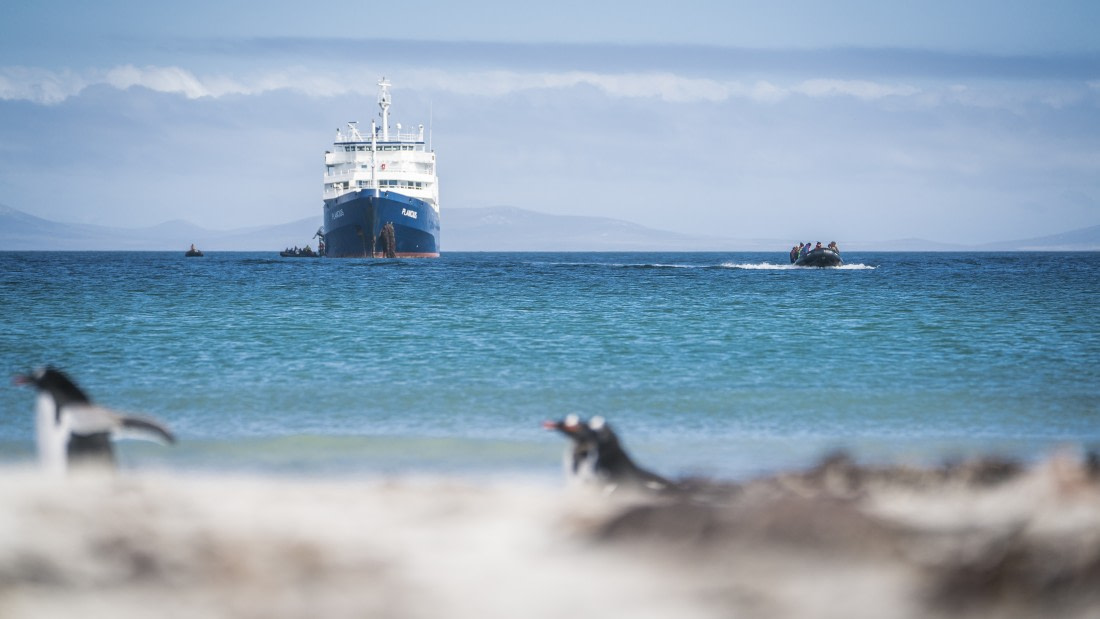 Falklands, South Georgia, Ant Peninsula © Fotografie Dietmar Denger-Oceanwide Expeditions20.jpg