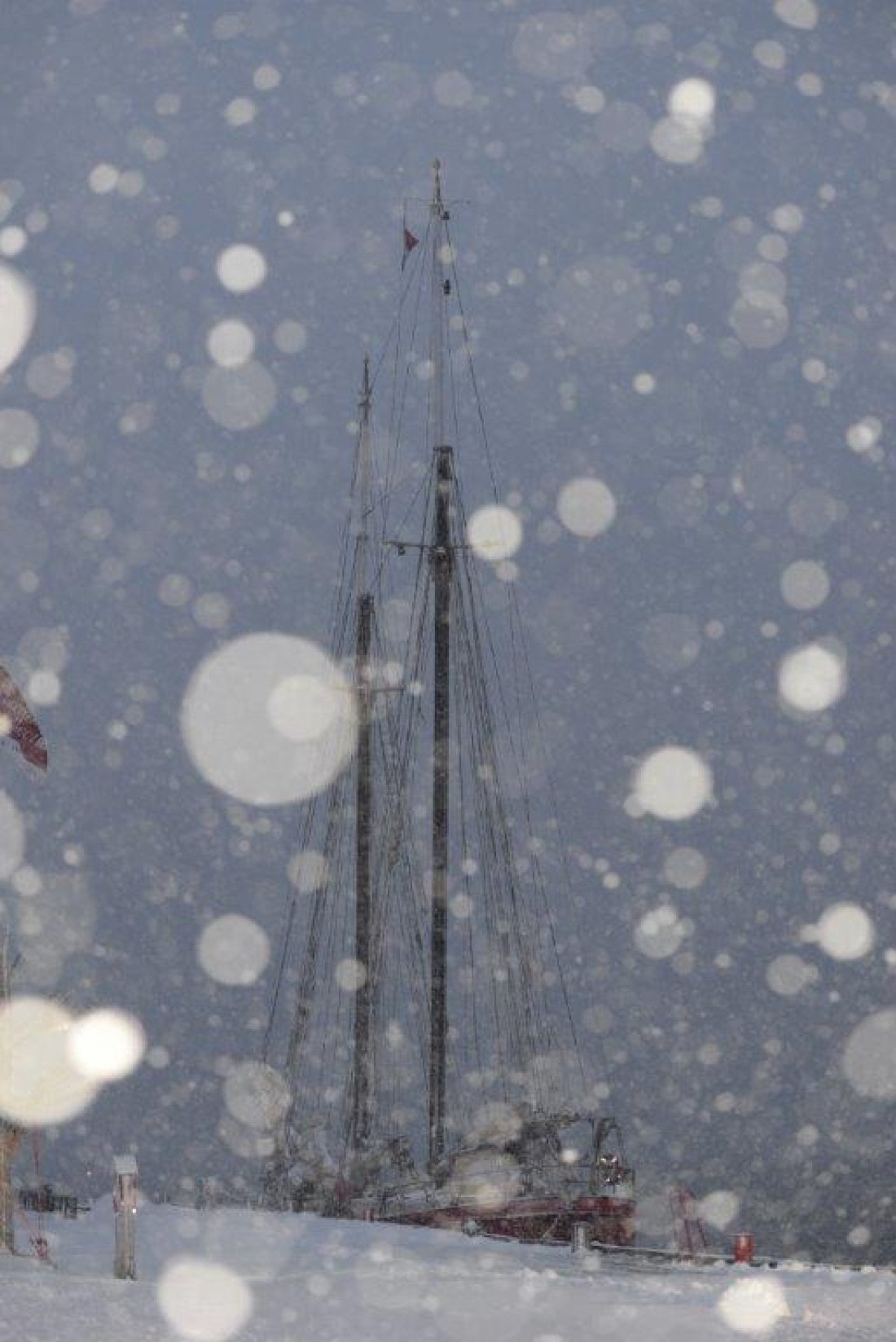 Snowy Noorderlicht