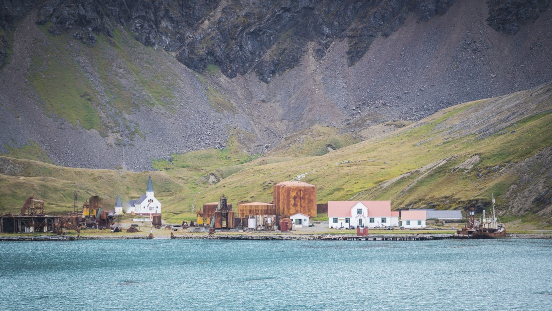 Falklands, South Georgia, Ant Peninsula © Fotografie Dietmar Denger-Oceanwide Expeditions142.jpg