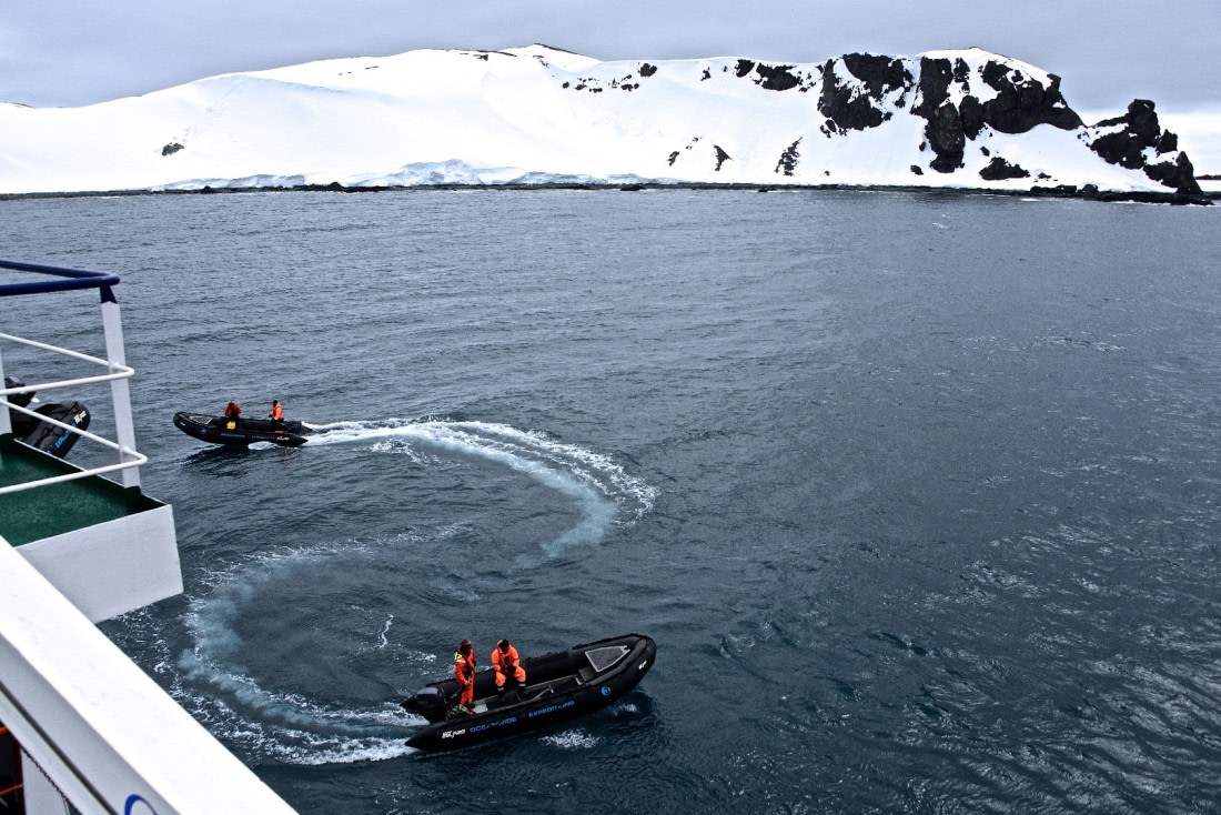 Zodiacs heading to half moon island, m/v Ortelius dec 2016