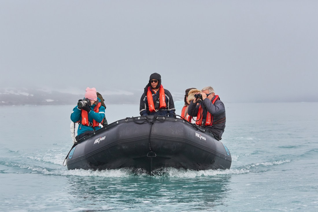 North Spitsbergen Polar Bear Special, June © Markus Eichenberger-Oceanwide Expeditions (141).jpg