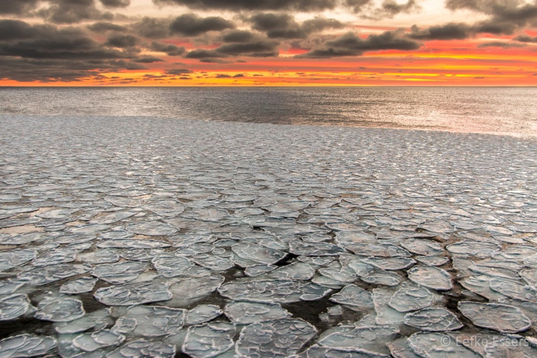 Pancake ice