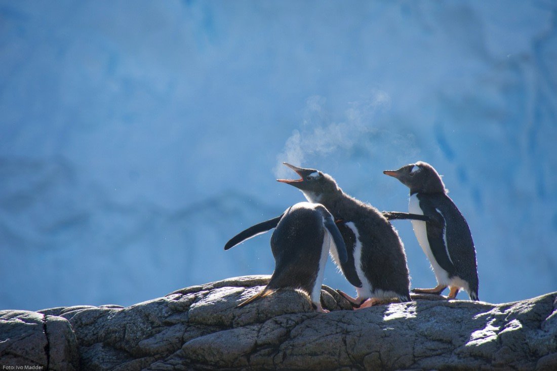 Cold breath