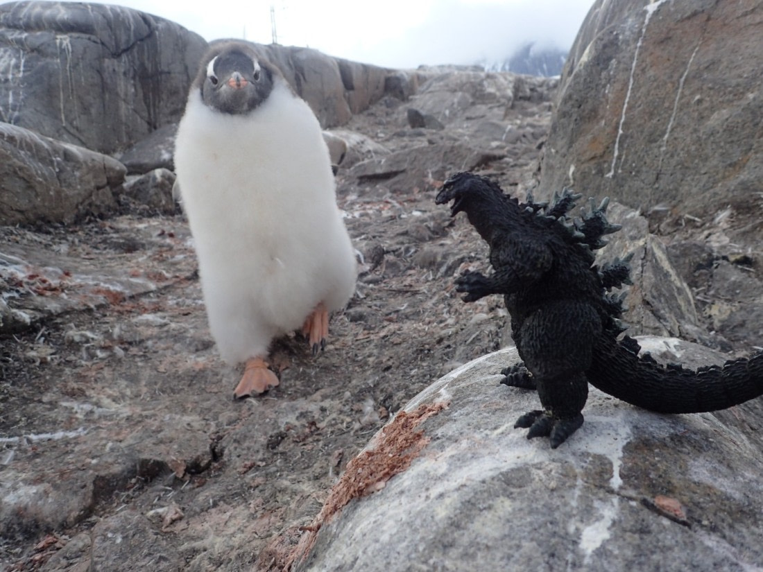 Godzilla 's attack.