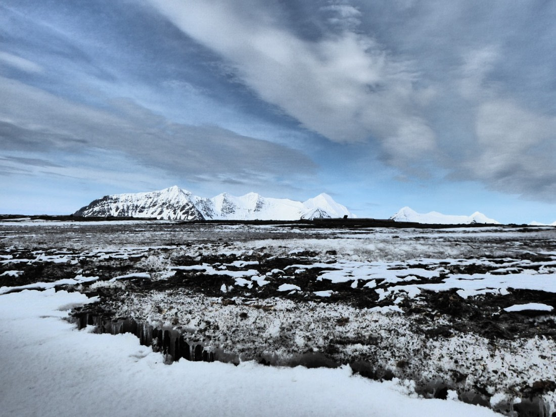 Prins Karls Forland Svalbard 05 2017