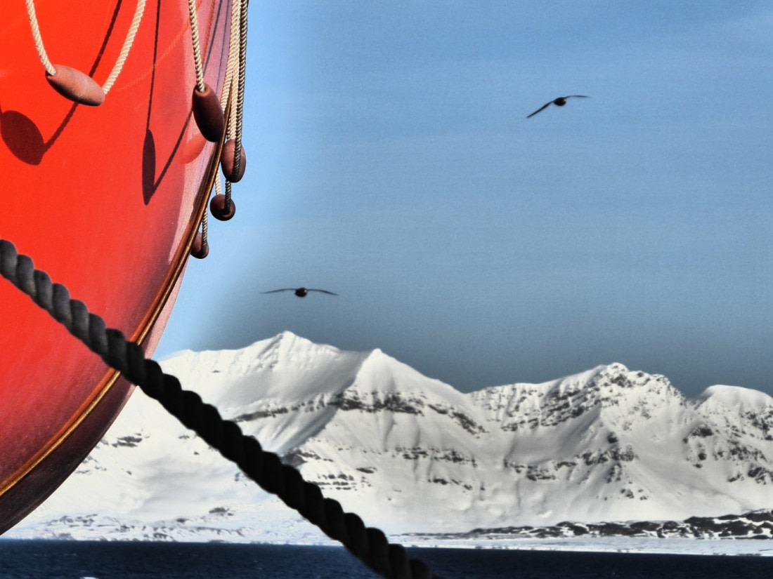 Ortelius Life Boat