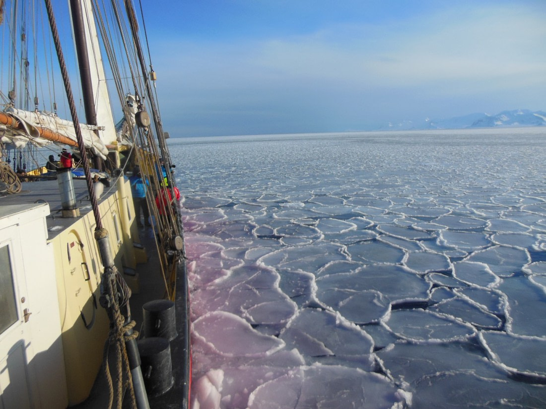 very close drift ice at Forlandsundet