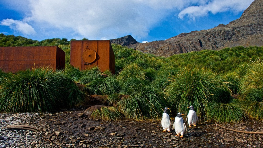 Godthul, whale processing facility, so georgia island, M/V PLancius, Atlantic Odyssey 2017