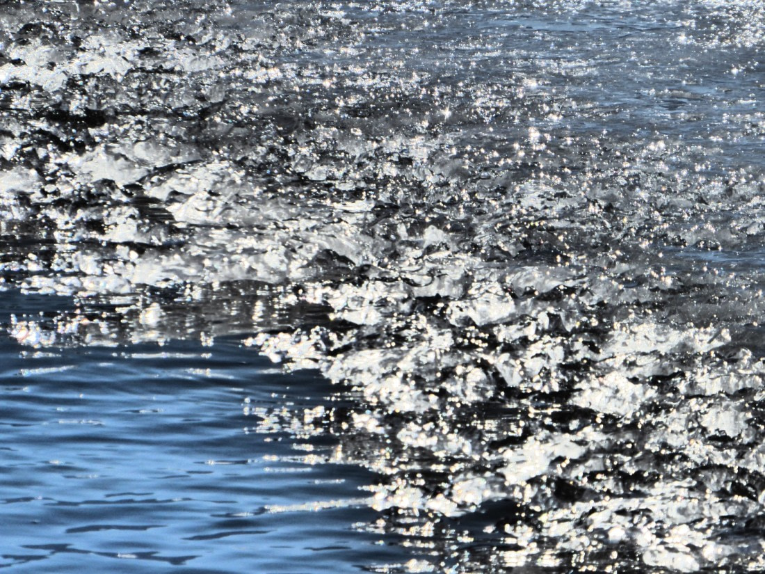 Melting ice in Isfjorden 05 2017