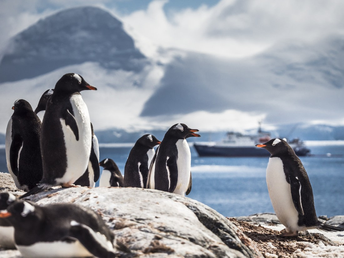 Antarktis_Dietmar Denger-27.jpg