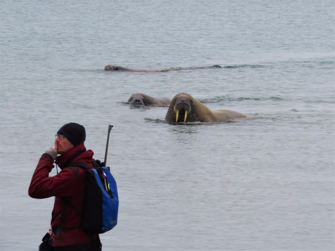 Phippsøya-Christian