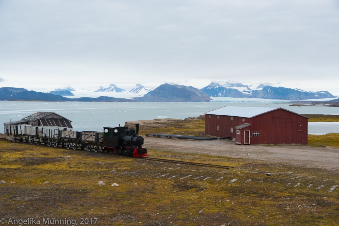 Ny Alesund
