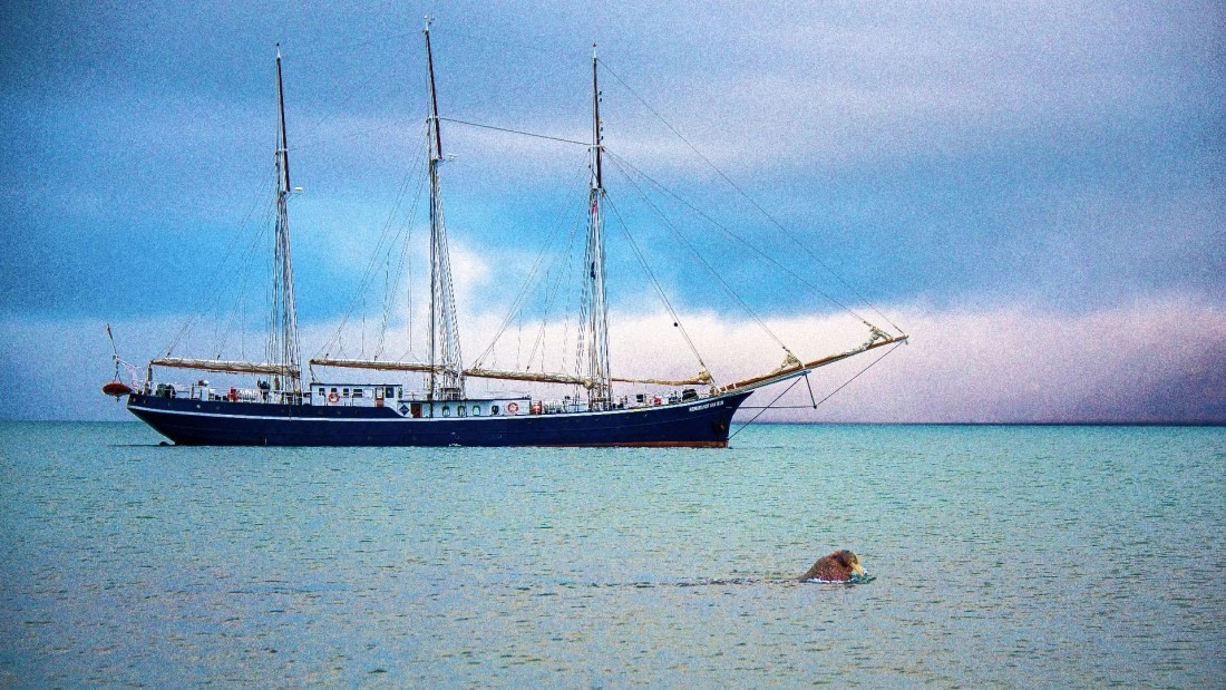 S/V Rembrandt van Riln @Sarstangen, 2017