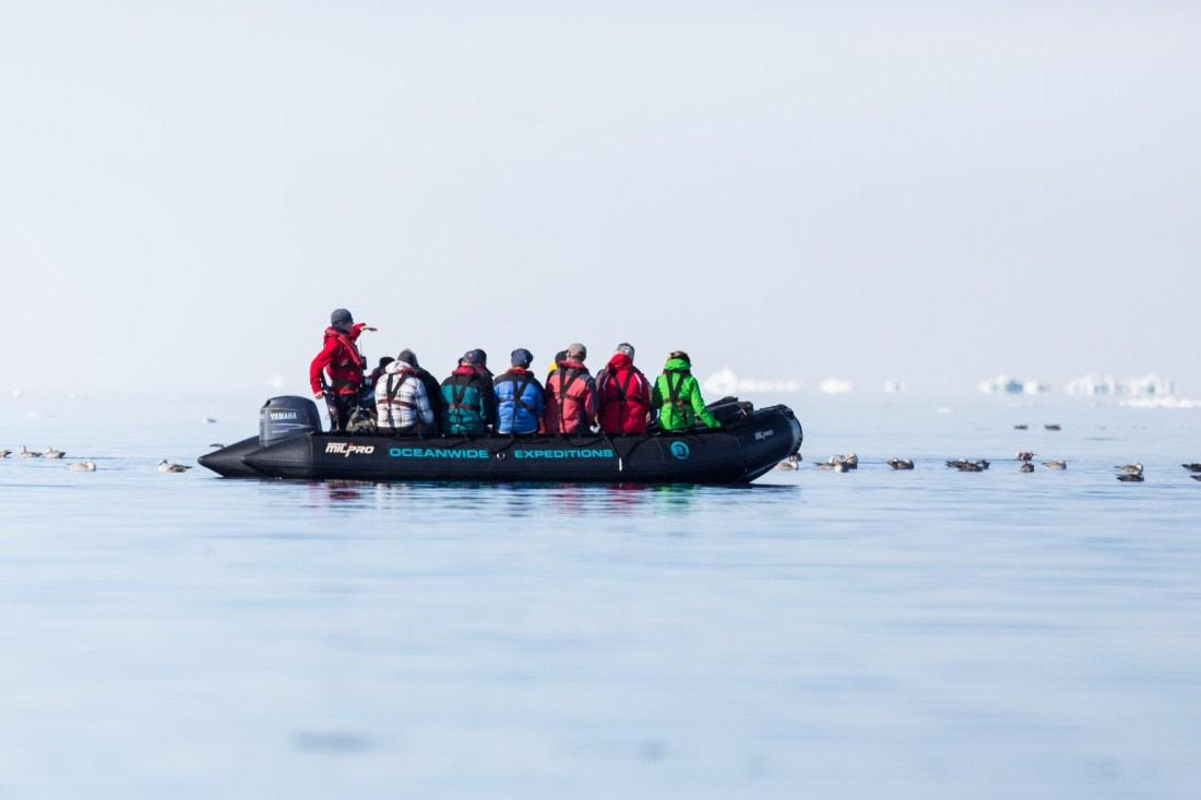 Zodiac Cruise