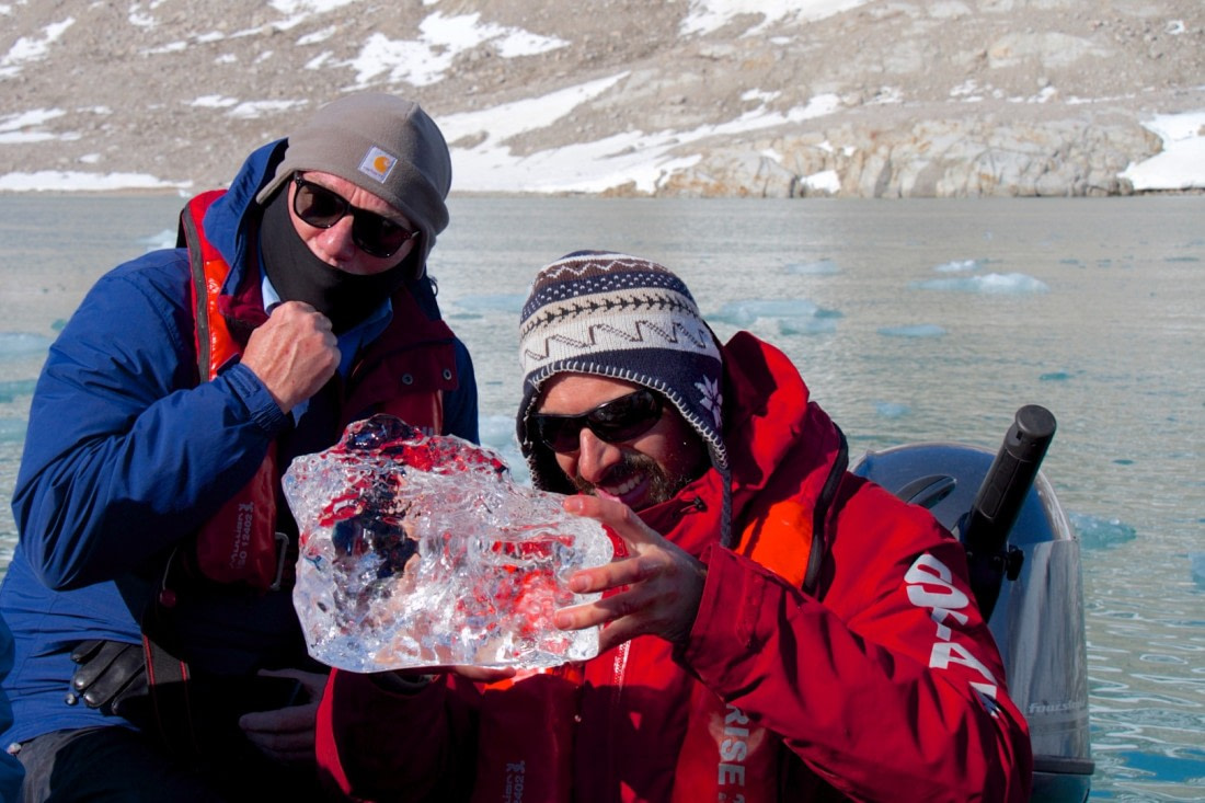 For our ice cubes in the bar