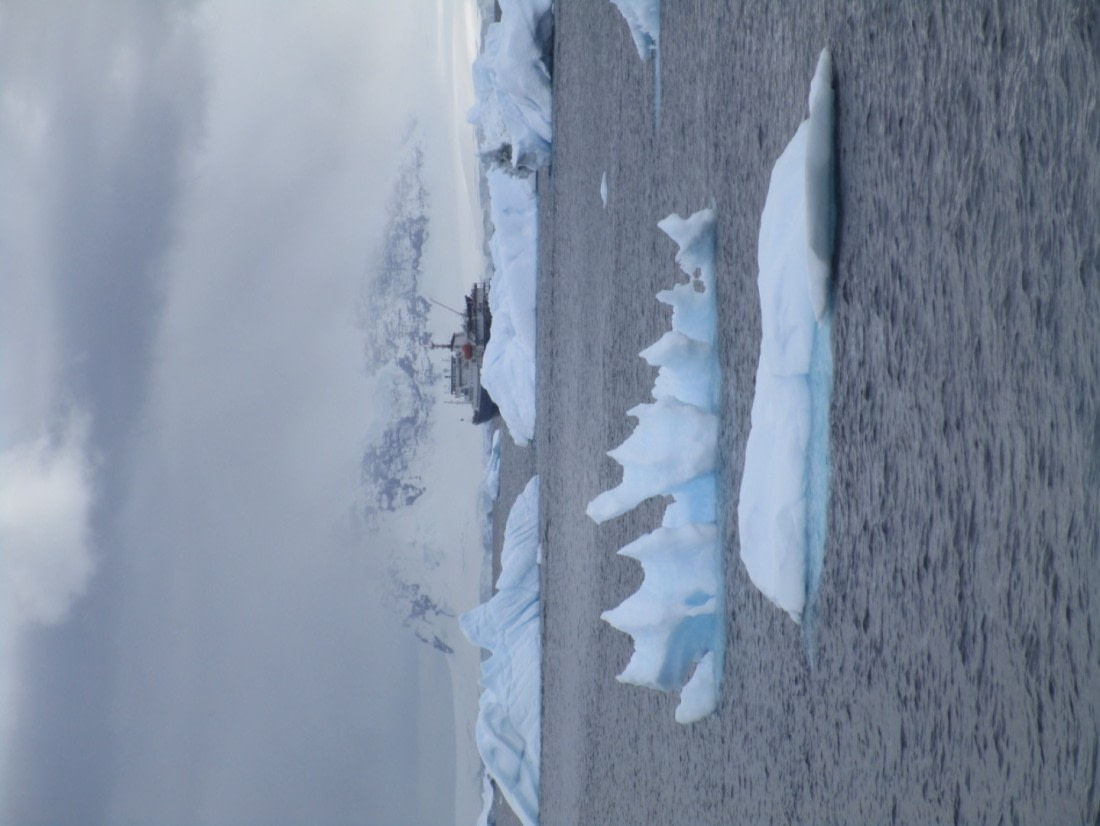 Cuverville Island