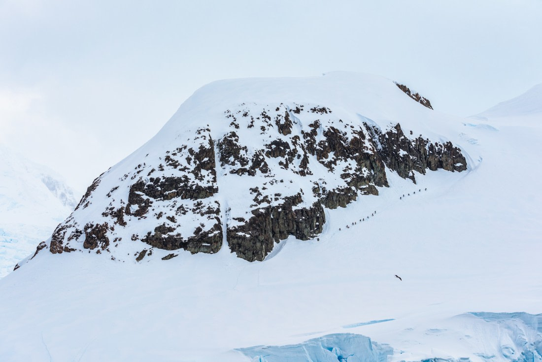 Mountaineers