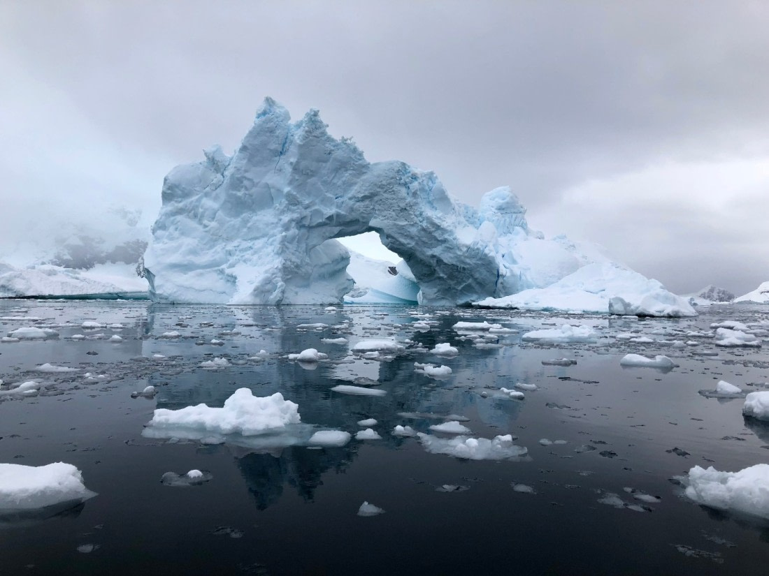 Favorite Iceberg