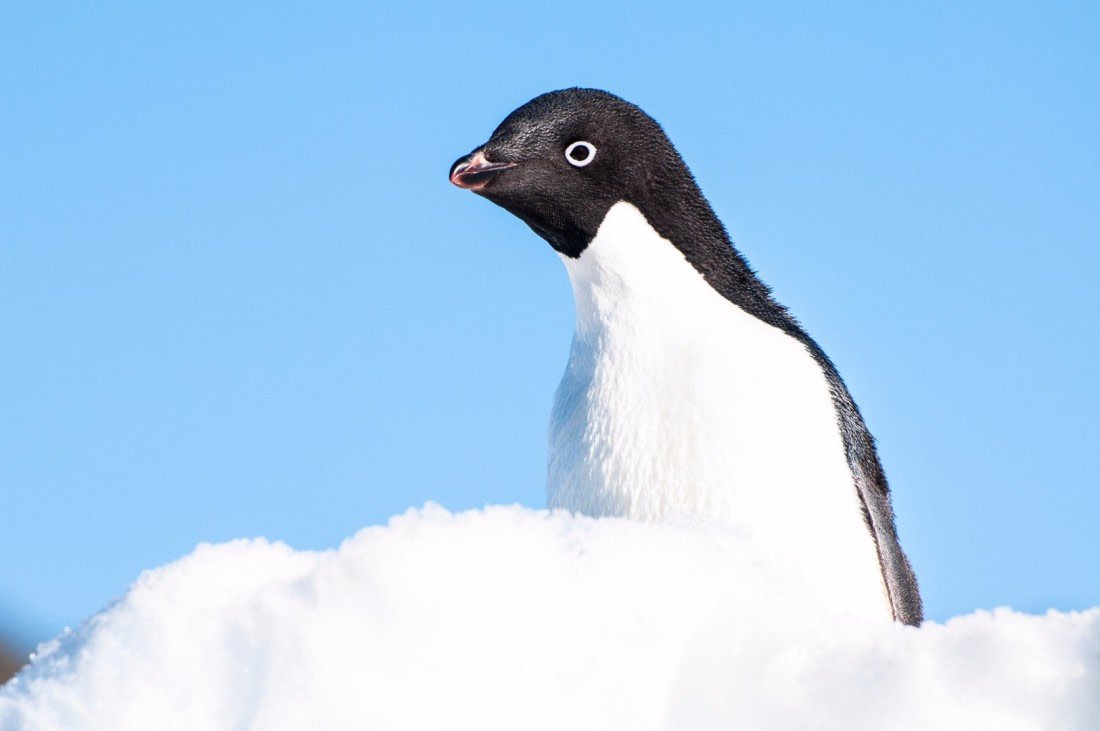 hello welcome to my world