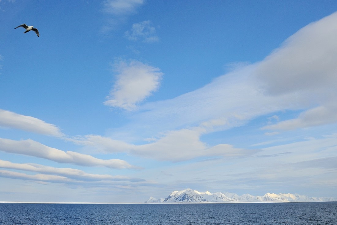 De spitsebergen van Svalbard..