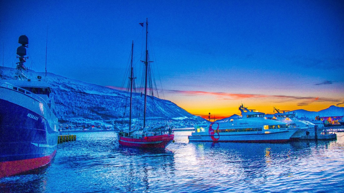 S/v Nooderlicht@Tromso,whales & auroras dec 2017