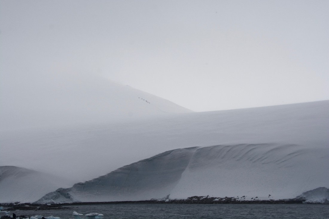 Climbers from the Sea