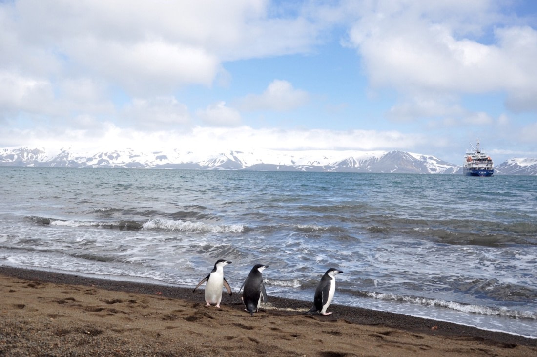 Waiting for Plancius