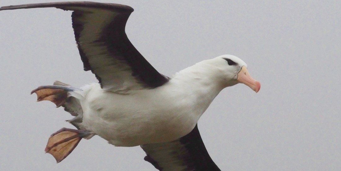 1st wildlife spotted