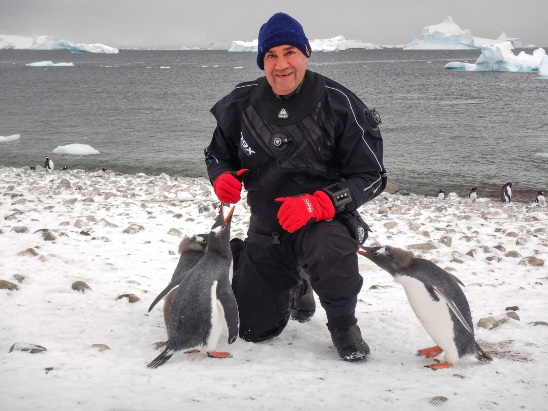 with penguins after dive