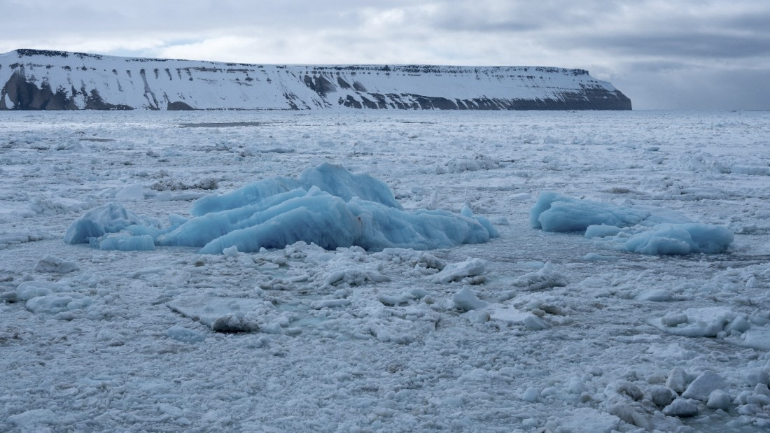Spitzbergen_sea ice