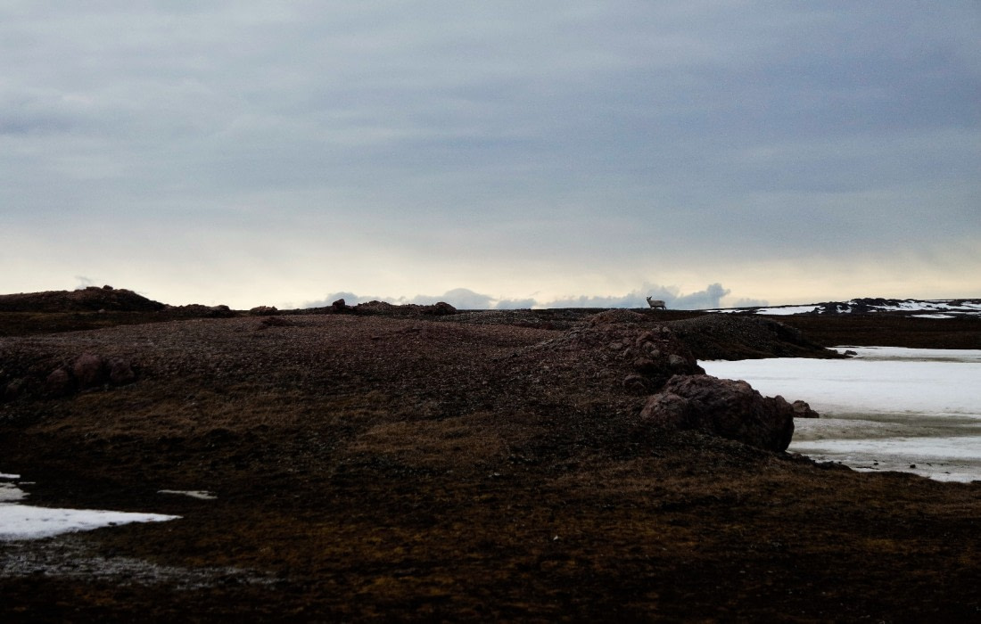 OTL03-18Tordenskjoldbukta