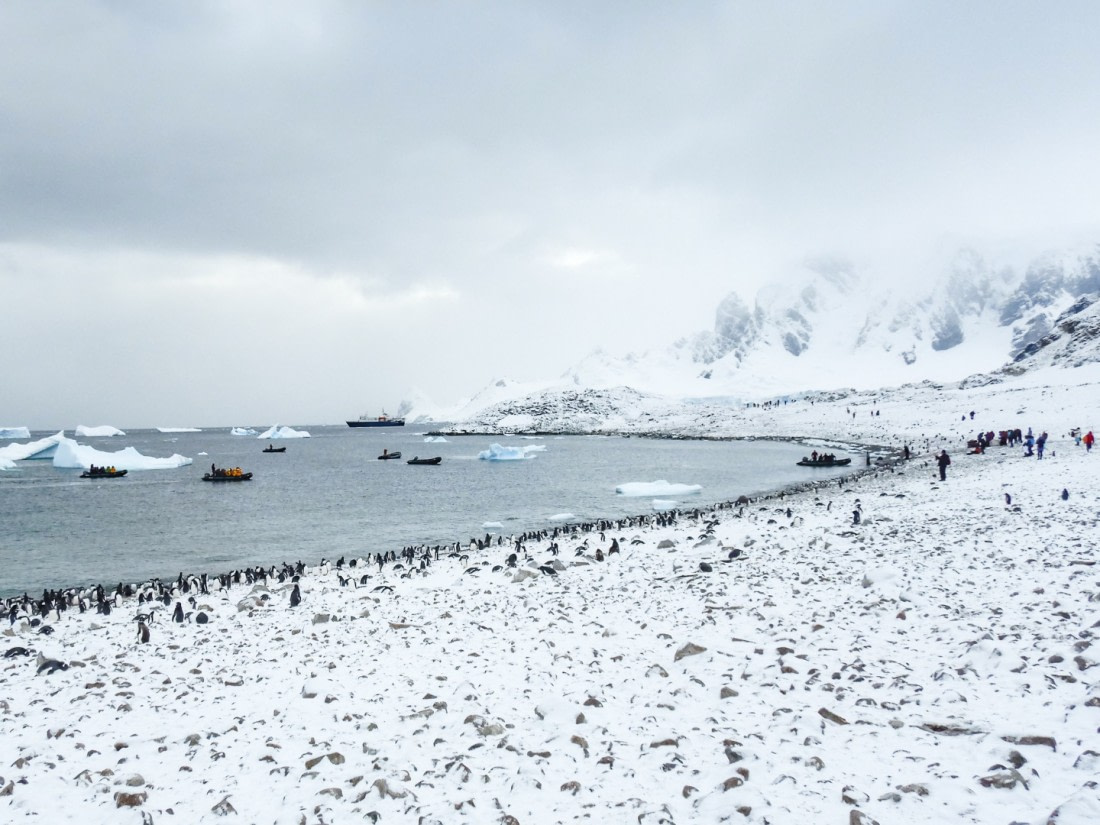 Ortelius, Zodiacs and shore