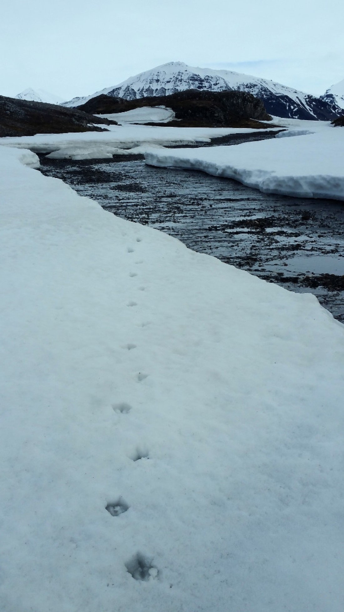 OTL03-18Tordenskjoldbukta