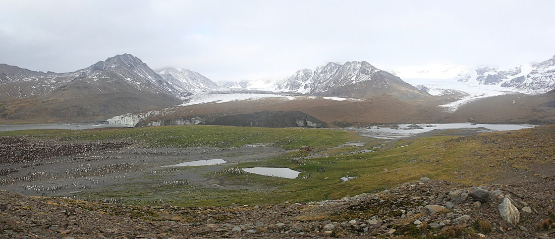 PLA35-18 Andrews bay panorama