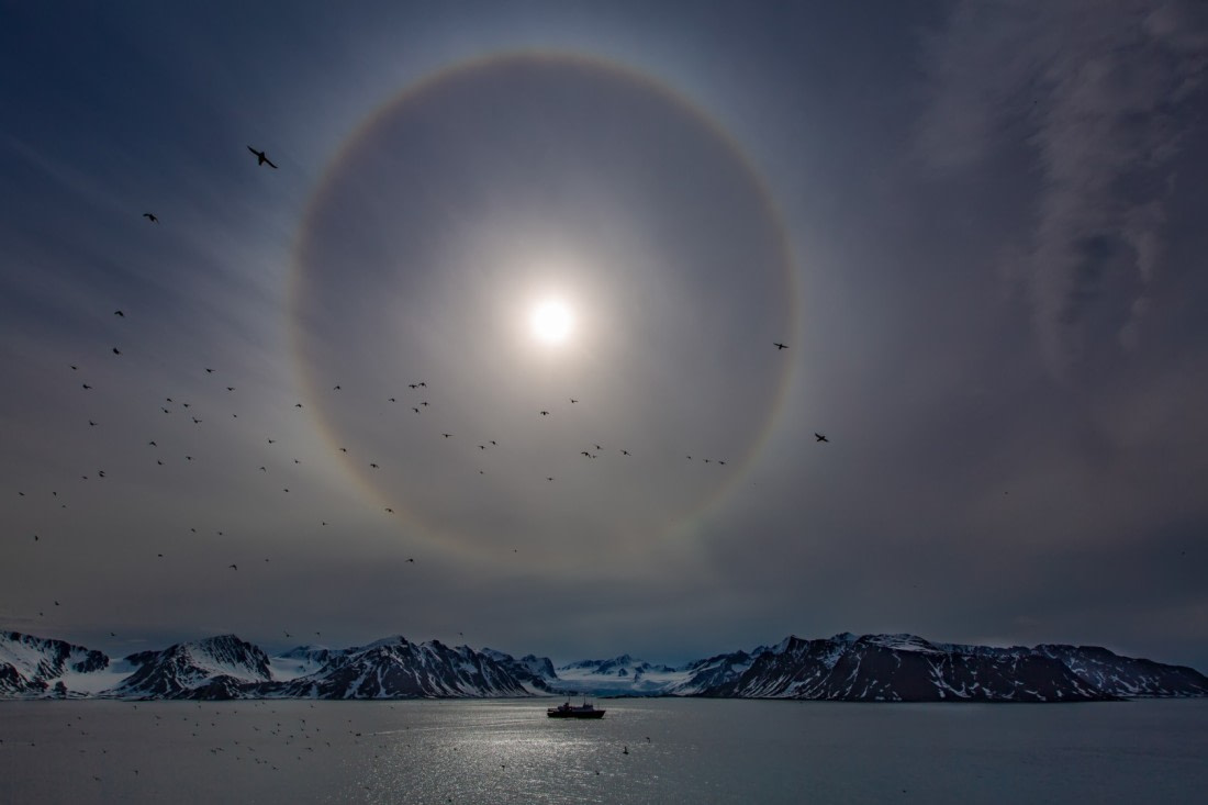 Arctic Halo